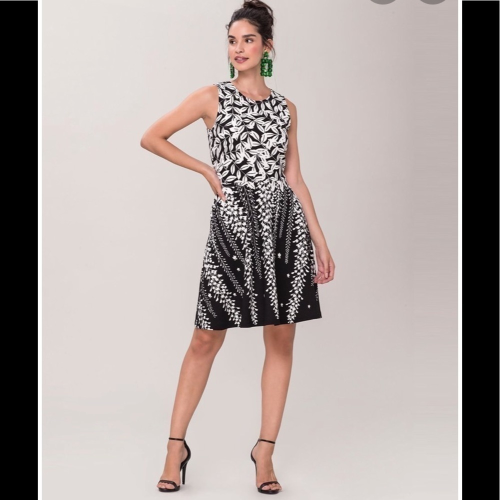 - Leota Black White Ava A-line Honeysuckle Sleeveless Fit & Flare Dress